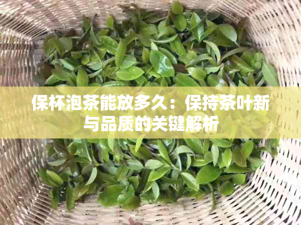 保杯泡茶能放多久：保持茶叶新与品质的关键解析