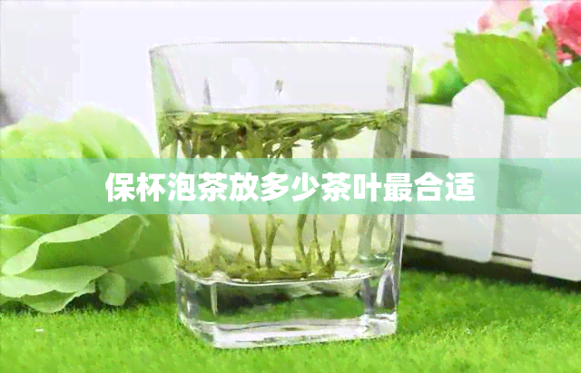 保杯泡茶放多少茶叶最合适