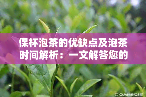 保杯泡茶的优缺点及泡茶时间解析：一文解答您的所有疑问