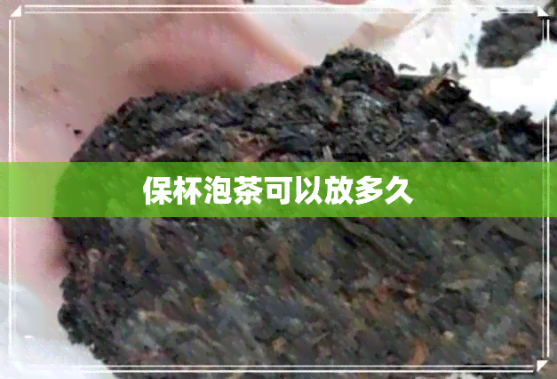 保杯泡茶可以放多久