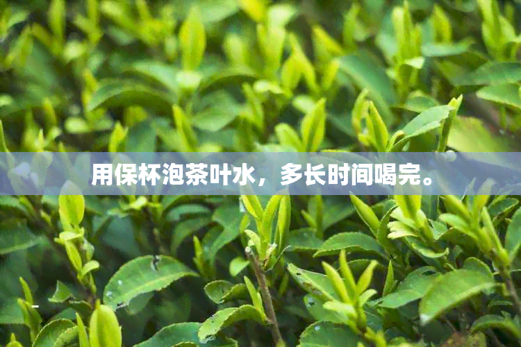 用保杯泡茶叶水，多长时间喝完。