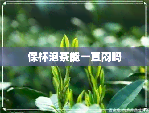 保杯泡茶能一直闷吗