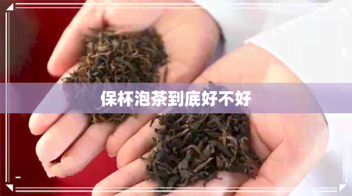 保杯泡茶到底好不好