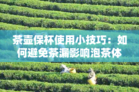 茶壶保杯使用小技巧：如何避免茶漏影响泡茶体验