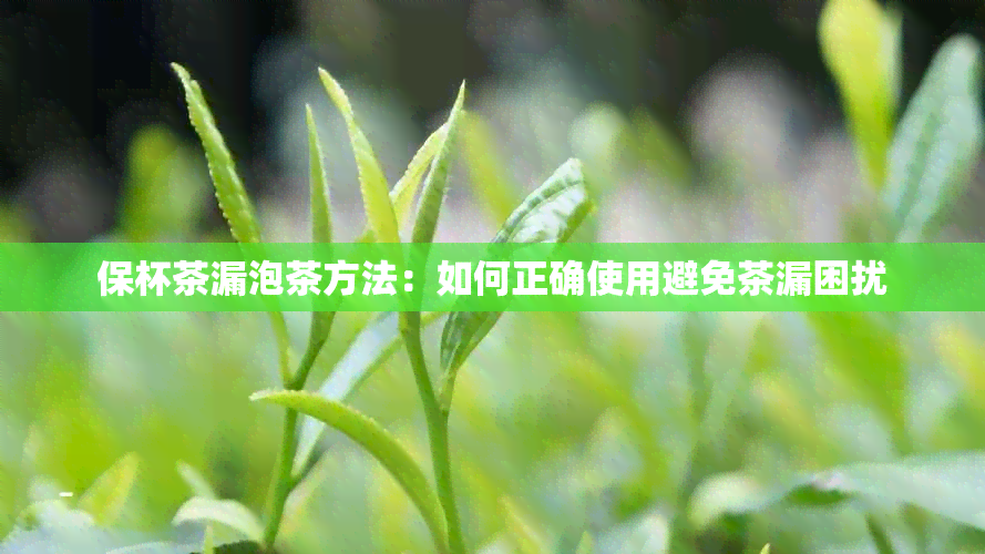 保杯茶漏泡茶方法：如何正确使用避免茶漏困扰