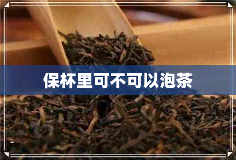 保杯里可不可以泡茶