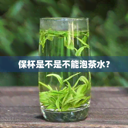 保杯是不是不能泡茶水？