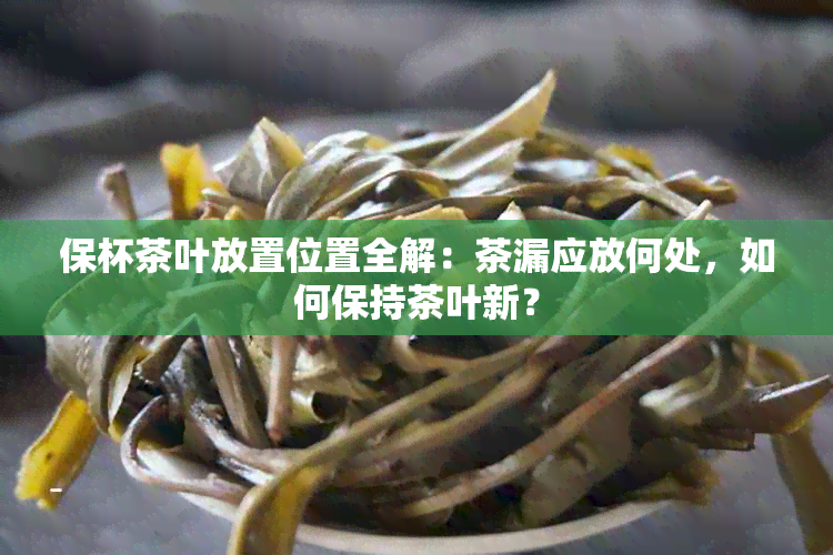 保杯茶叶放置位置全解：茶漏应放何处，如何保持茶叶新？