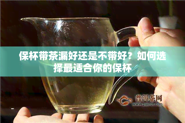 保杯带茶漏好还是不带好？如何选择最适合你的保杯