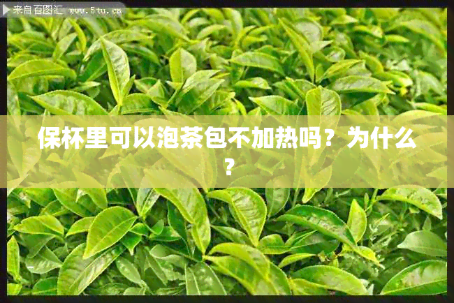 保杯里可以泡茶包不加热吗？为什么？