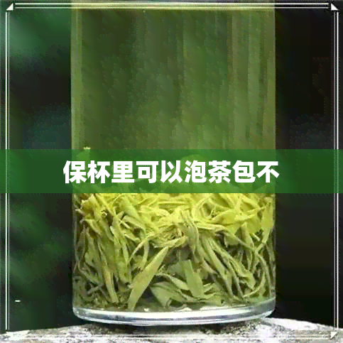 保杯里可以泡茶包不