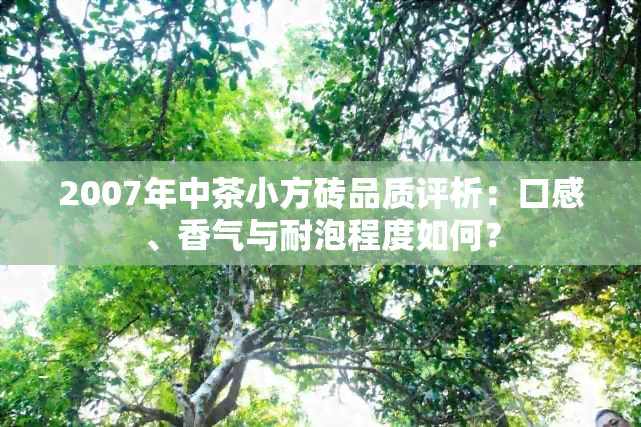 2007年中茶小方砖品质评析：口感、香气与耐泡程度如何？