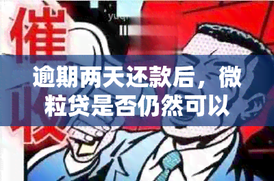 逾期两天还款后，微粒贷是否仍然可以再次借款？