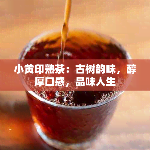 小黄印熟茶：古树韵味，醇厚口感，品味人生