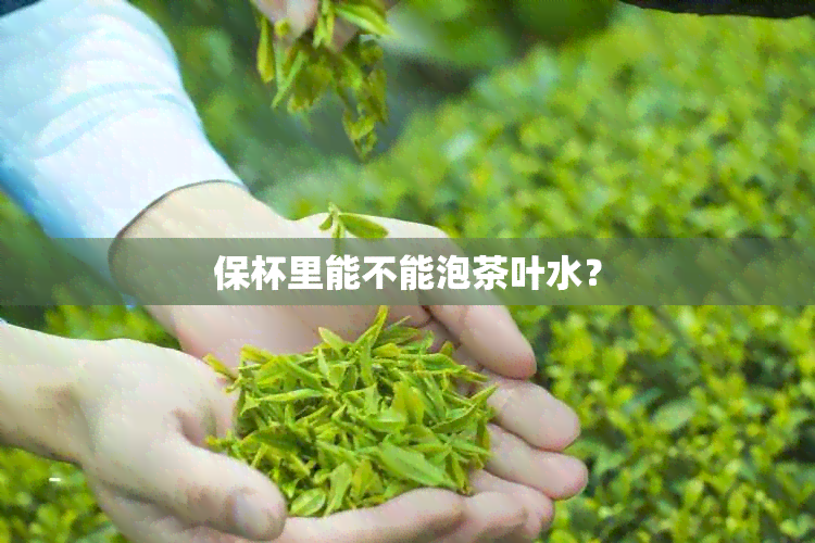 保杯里能不能泡茶叶水？