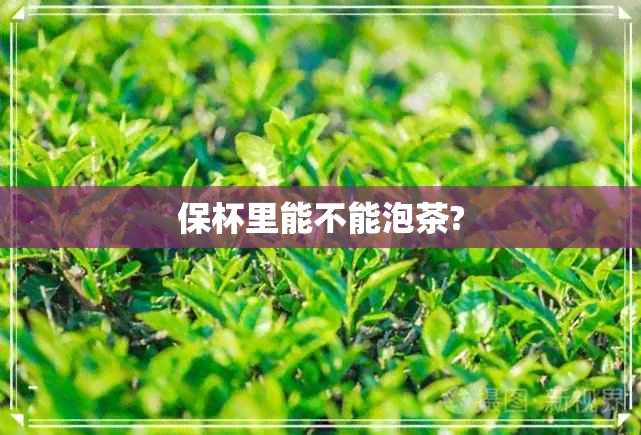 保杯里能不能泡茶?