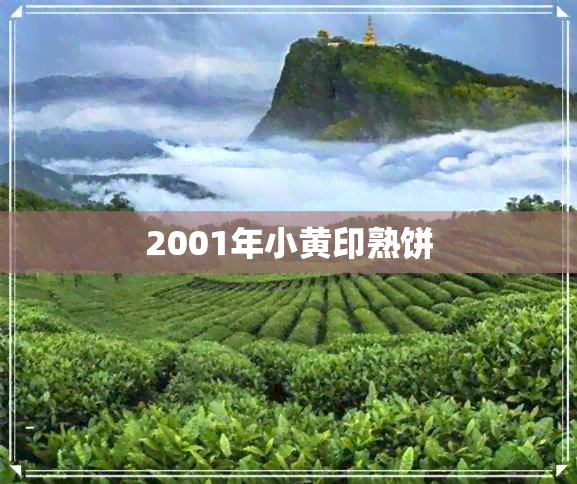 2001年小黄印熟饼