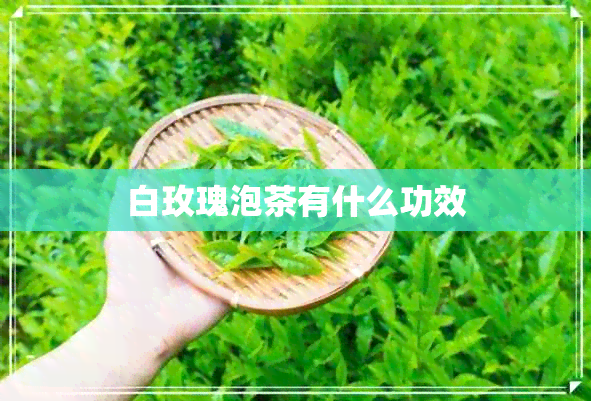 白玫瑰泡茶有什么功效