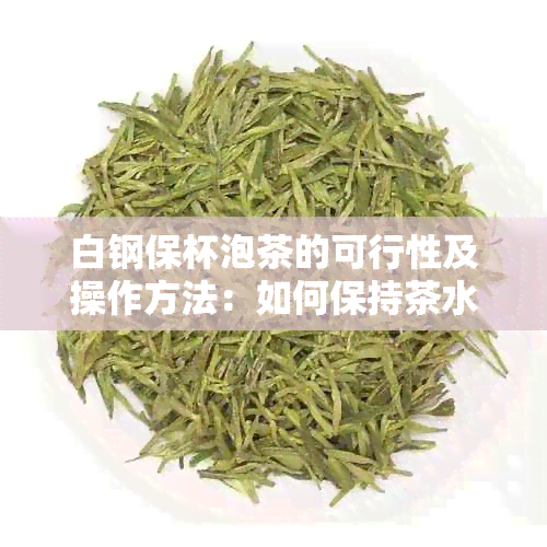 白钢保杯泡茶的可行性及操作方法：如何保持茶水的口感和风味？