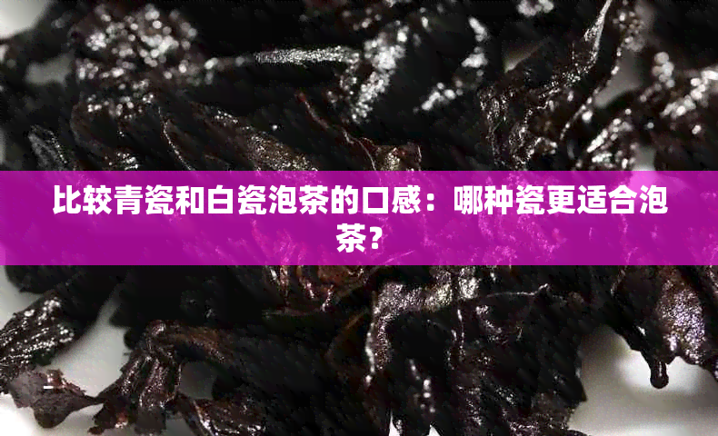 比较青瓷和白瓷泡茶的口感：哪种瓷更适合泡茶？