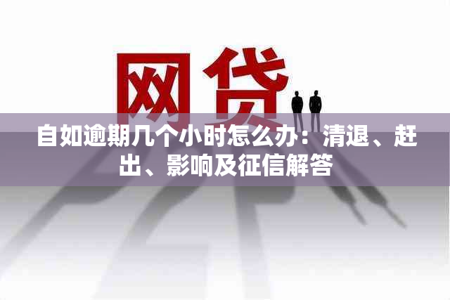 自如逾期几个小时怎么办：清退、赶出、影响及解答