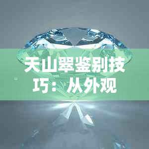 天山翠鉴别技巧：从外观、质地和价格等方面入手，避免购买假货的实用指南