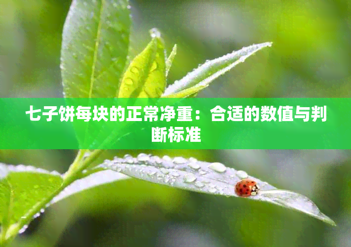 七子饼每块的正常净重：合适的数值与判断标准