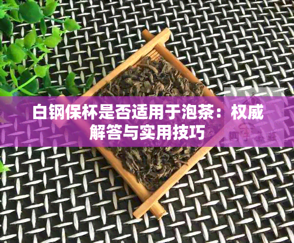 白钢保杯是否适用于泡茶：权威解答与实用技巧