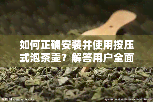 如何正确安装并使用按压式泡茶壶？解答用户全面疑问