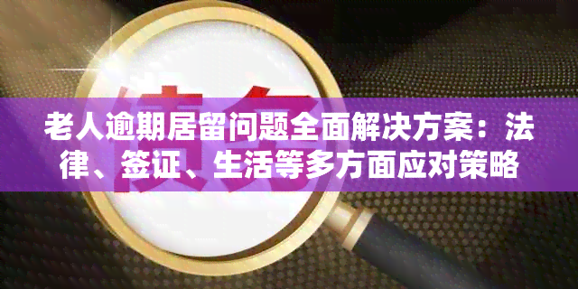 老人逾期居留问题全面解决方案：法律、签证、生活等多方面应对策略