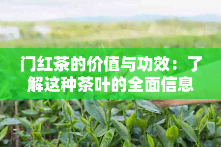 门红茶的价值与功效：了解这种茶叶的全面信息