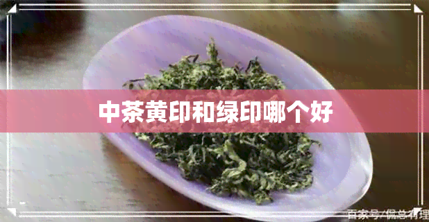 中茶黄印和绿印哪个好