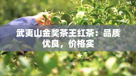 武夷山金奖茶王红茶：品质优良，价格实