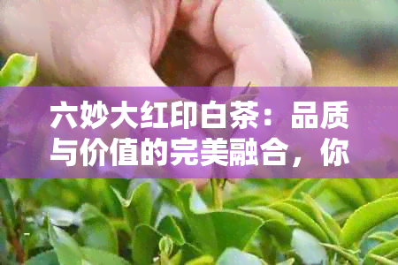 六妙大红印白茶：品质与价值的完美融合，你了解多少？