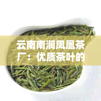 云南南涧凤凰茶厂：优质茶叶的生产基地与领导者