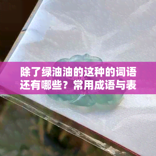 除了绿油油的这种的词语还有哪些？常用成语与表达方式解析