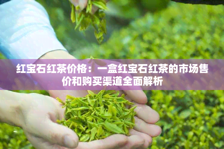 红宝石红茶价格：一盒红宝石红茶的市场售价和购买渠道全面解析