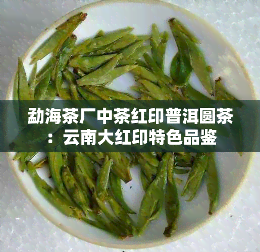 勐海茶厂中茶红印普洱圆茶：云南大红印特色品鉴