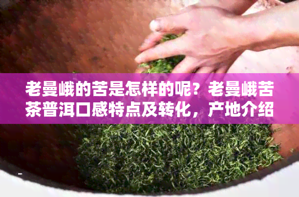 老曼峨的苦是怎样的呢？老曼峨苦茶普洱口感特点及转化，产地介绍。