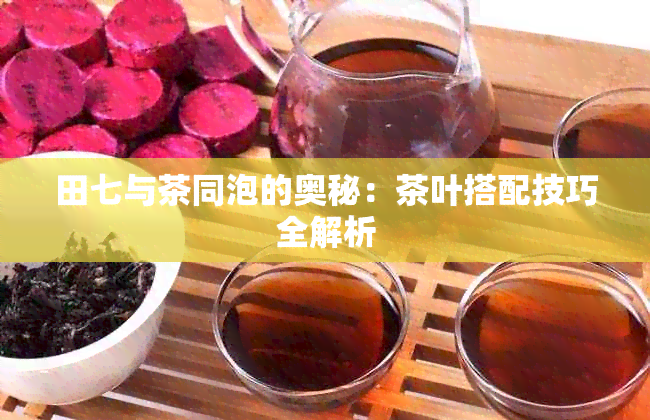 田七与茶同泡的奥秘：茶叶搭配技巧全解析