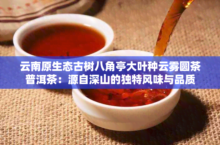 云南原生态古树八角亭大叶种云雾圆茶普洱茶：源自深山的独特风味与品质