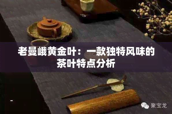 老曼峨黄金叶：一款独特风味的茶叶特点分析