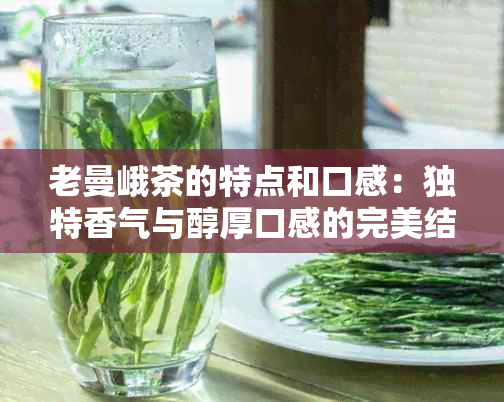 老曼峨茶的特点和口感：独特香气与醇厚口感的完美结合