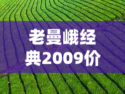 老曼峨经典2009价格：珍藏版与市场价解析