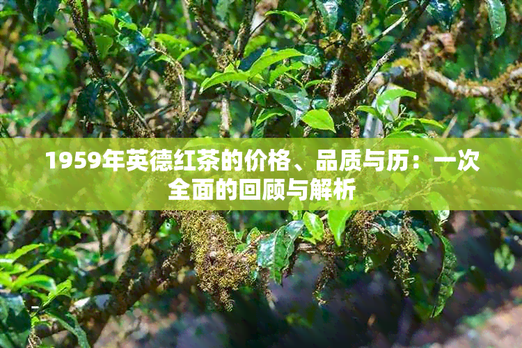 1959年英德红茶的价格、品质与历：一次全面的回顾与解析