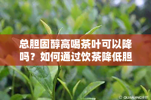 总胆固醇高喝茶叶可以降吗？如何通过饮茶降低胆固醇水平