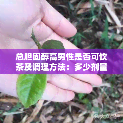 总胆固醇高男性是否可饮茶及调理方法：多少剂量合适？