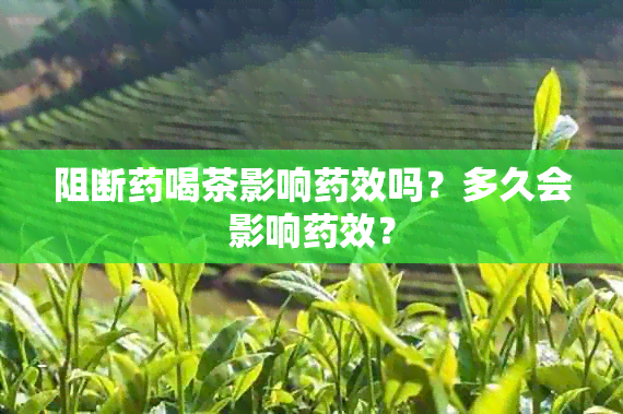 阻断喝茶影响效吗？多久会影响效？