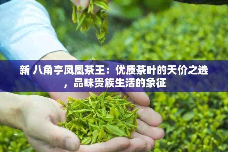 新 八角亭凤凰茶王：优质茶叶的天价之选，品味贵族生活的象征