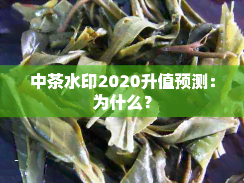 中茶水印2020升值预测：为什么？